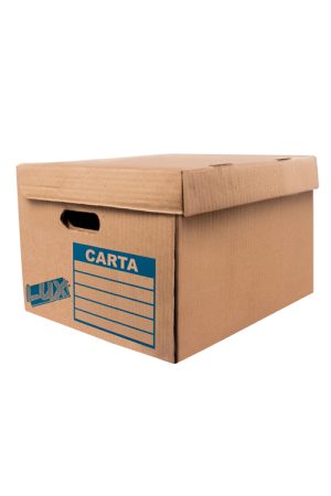 Caja de Archivo Muerto Carta